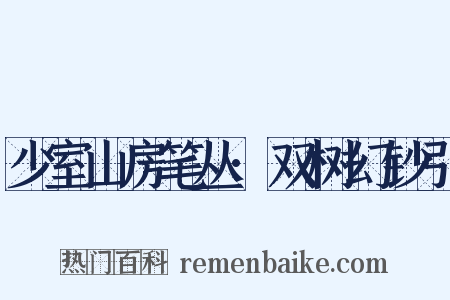少室山房笔丛·双树幻钞引是什么意思的图片